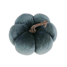 Citrouille grise GM
