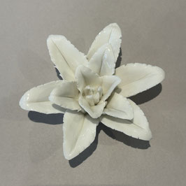 Fleur blanche 7cm