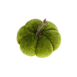 Citrouille verte olive moyenne