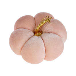 Citrouille rose GM