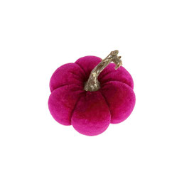 Citrouille fushia PM