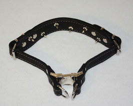 Leather prong collar