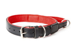 Training Collars for Dogs with handle - Black and Red