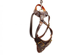 Leather Harness "Attack" with handle, Brass