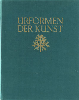 Blossfeldt, Karl - Urformen der Kunst - Photographische Pflanzenbilder