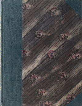 Hammer-Purgstall, (Joseph v.) (Hrsg.) - Mahmud Schebisteri's Rosenflor des Geheimnisses - Persisch und Deutsch herausgegeben - Mit zwey Ansichten: des Dorfes Schebister und der Grabstätte von Tebris