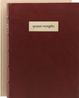 Das Goslarer Evangeliar - Vollständige Faksimile-Ausgabe im Originalformat der Handschrift B 4387 aus dem Besitz des Stadtarchivs Goslar