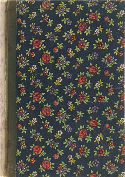 Pollack-Sorer, Frieda (Einführung) - Alt-Wiener Stickmuster - Petit Point
