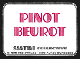 2018 Hautes Côtes de Beaune Pinot Beurot  - Santini Collective