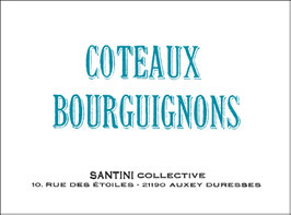 2018 Coteaux Bourguignons  - Santini Collective