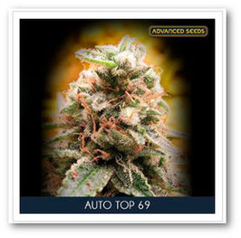 Advanced Seeds -  Auto Top 69