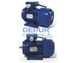 Motore per pompe rotative Mod.RO