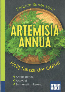 Artemisia annua