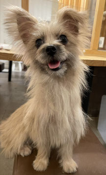 マルテリア　ベビー販売　仙台EBeanS店