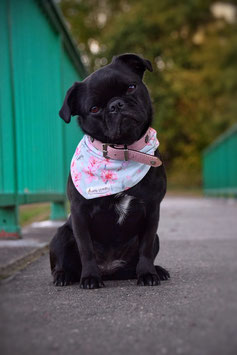 Bandana Lovely Cherry Blossom