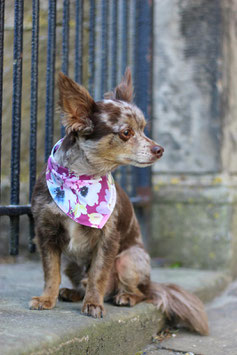 Bandana Lovely Flowers