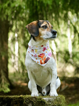 Bandana Lovely Fox