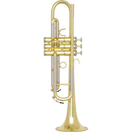 Besson Bb Trompete BE1110G-1-0