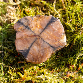 Chiastolith 701