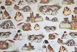 Hunde Motiv 2