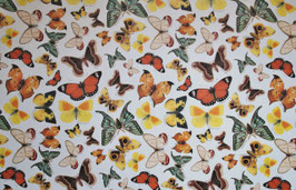 Schmetterling Motiv