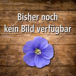 Sprühflasche 50 ml leer (für diverse Regulate)