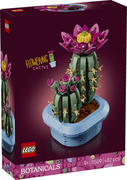 11509  Bloeiende cactus