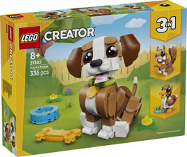 31382  Schattige dieren: speelse puppy