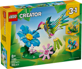 31384  Wilde dieren: kleurrijke kolibrie
