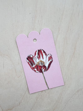 Geschenkanhänger_Tulpe