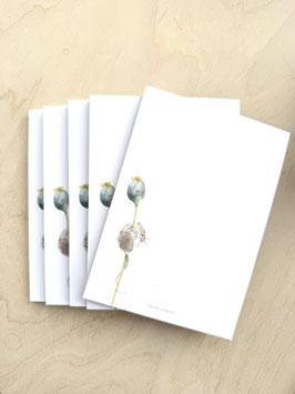 Mouse Notes