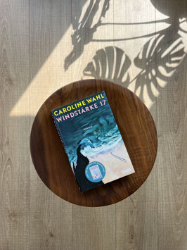 Windstärke 17