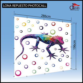 Lona Repuesto Eco Photocall 300x200cm