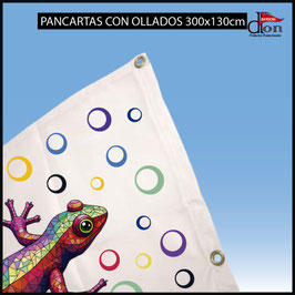 Pancarta Con Ollados 300x130cm