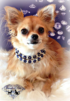 Jewels4Pets Luxus Hundecollier "Flirty" Echt Perle mit Lapislazuli & 585 Goldperlen