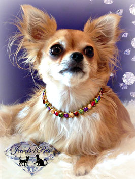 Jewels4Pets Luxus Hundecollier "Candy" Zirkonia