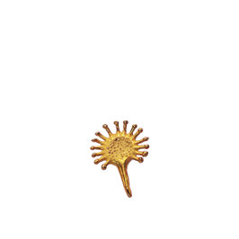 Sonnentau Anhänger ver-goldet | S-Size