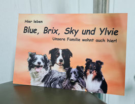 Hundewarnschild Farbe, Rudel