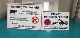 Weidevieh