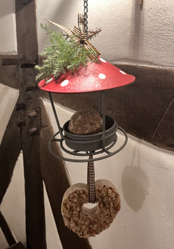 Futterstelle Fliegenpilz