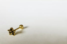 Elena Piercing