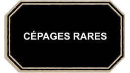 Cépages Insolites : L’Autre Visage du Vin
