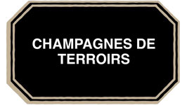 Atelier œnologique "Champagne de Terroirs" du Vendredi 18 Juillet, 19h-21h