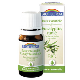 Eucalyptus radié Bio 10 ml