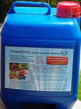 .   MORINGA ANIMALES DE GRANJA