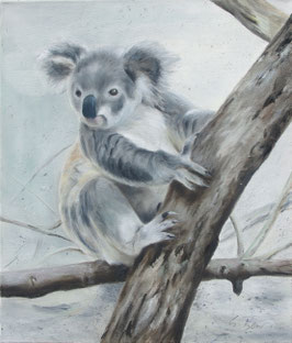 C060 Koala II