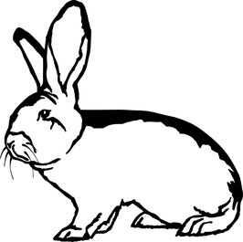 Aufkleber Kaninchen Deutscher Riese #000152