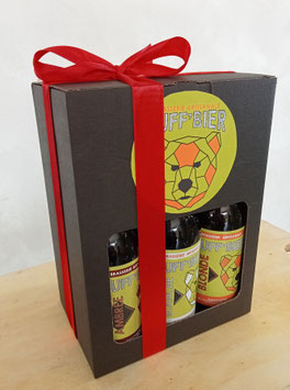 Coffret carton 6 bières