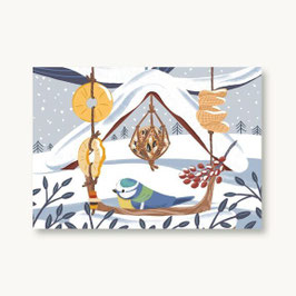 Postkarte Winter Blaumeise