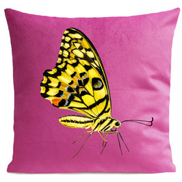 YELLOW BUTTERFLY - BRIGHT PINK